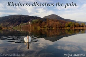 A swan on a lake with mountains in the background and the words, "Kindness dissolves the pain."