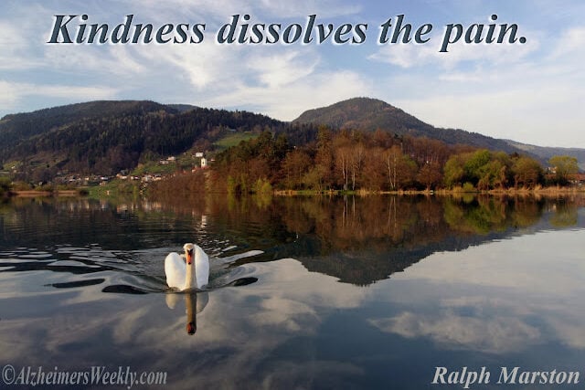 A swan on a lake with mountains in the background and the words, "Kindness dissolves the pain."