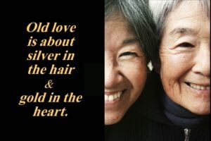 Old love is about silver in the hair and gold in the heart.