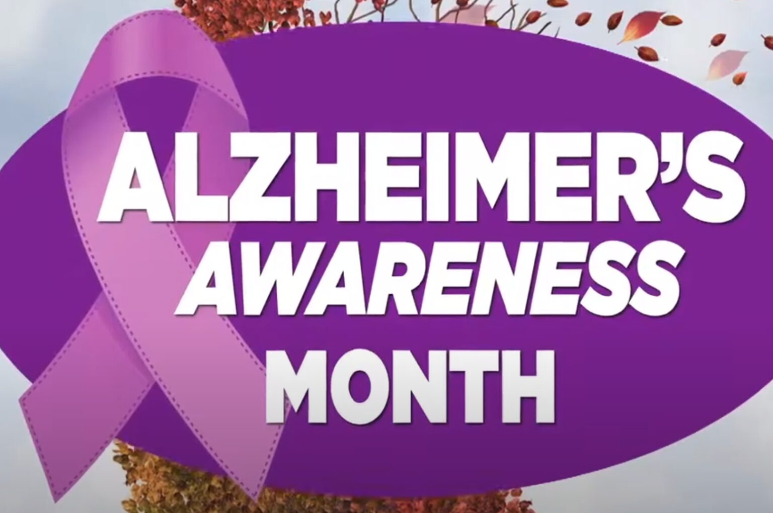 November is Alzheimer's Awareness Month