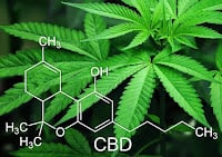 CBD Marijuana Chemical