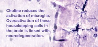 Microglia