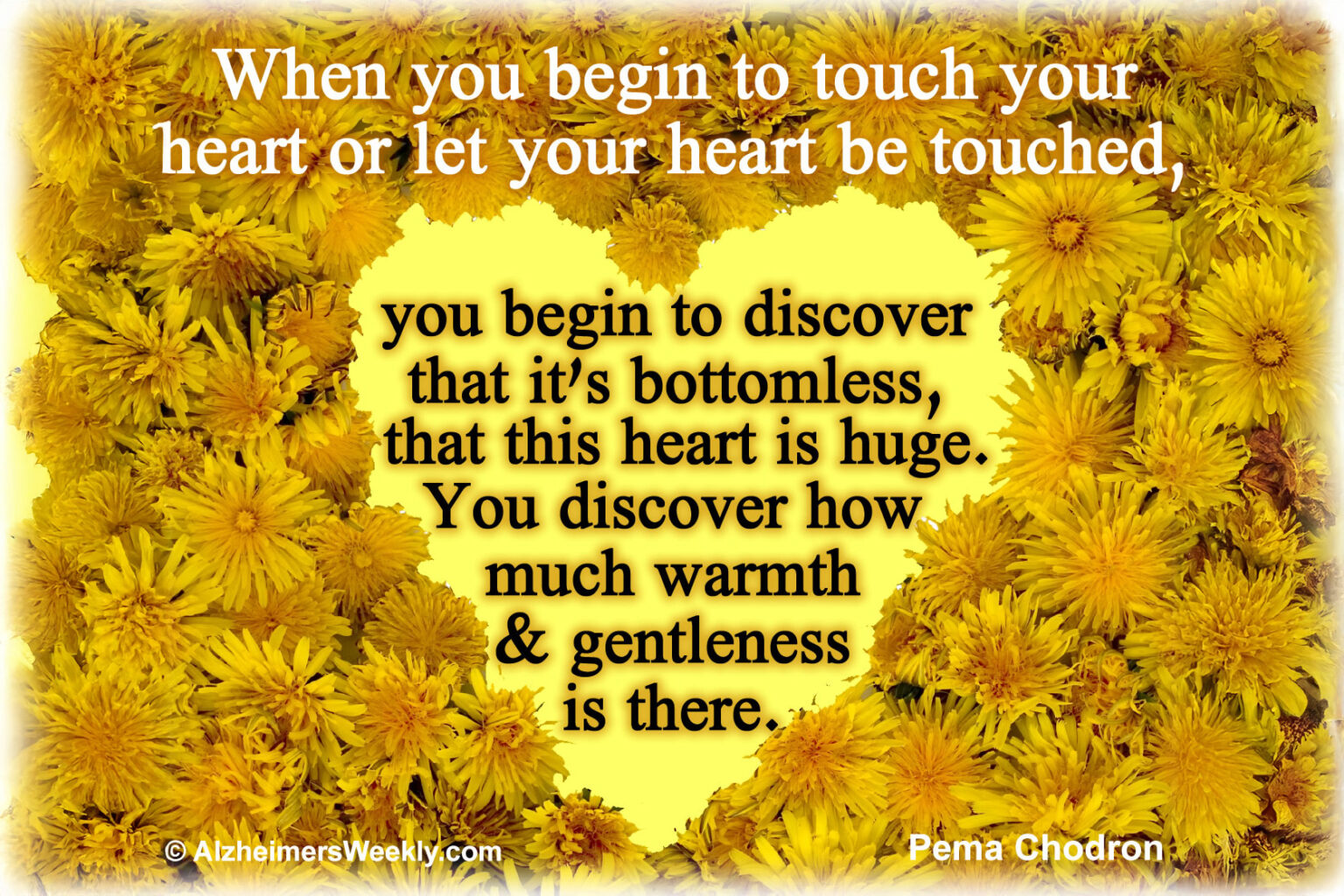 Thought of the week this heart is huge