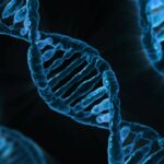 dna, biology, medicine