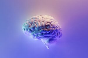 A human brain that has dementia with Lewy Bodies