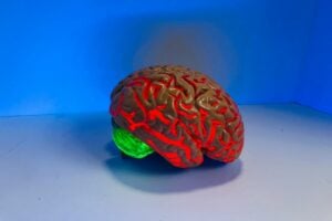 brain figurine