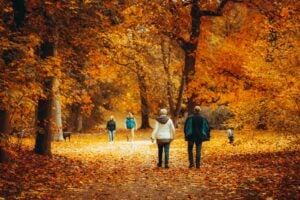 Adults and children walking on a leafy trail amidst vibrant autumn colors.