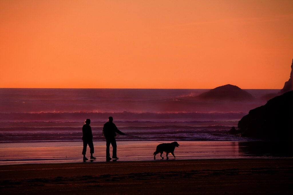 grandparents, walking the dog, dog, pet, people, together, family, senior, outdoors, nature, mature, beach, elderly, retirement, couple, exercise, summer, orange beach, orange dog, orange exercise, orange summer, orange walking, orange pets, orange elderly, animal, orange together