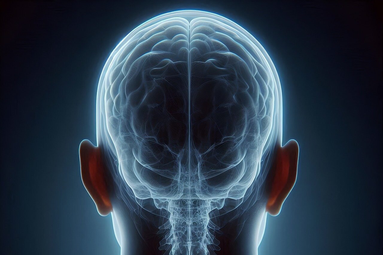 ai generated, x-ray, head, skeleton, brain, snapshot, body, man, health, medicine, muscles, bone